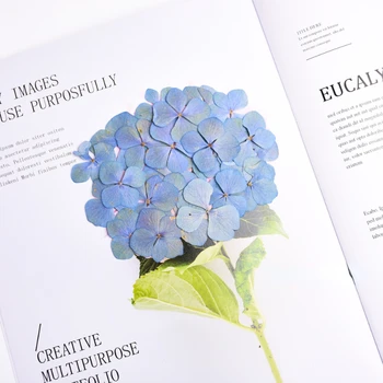 2-3 см/24ШТ, Настоящий цветочный Материал, Одиночные лепестки Голубой Гортензии, Прессованная Цветочная Рамка для фотографий 