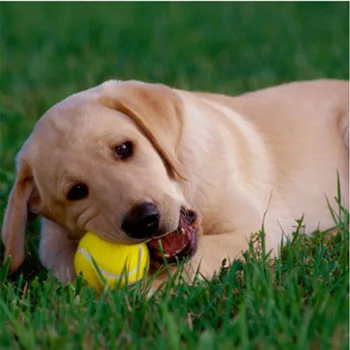 4 шт./Упак. Игрушка для Собак, Игра с Теннисным Мячом для Домашних Животных, 2,5-дюймовый Резиновый Мяч, Игрушки для Собак для Маленьких Собак, Головоломка для Собак, Экологичная Изображение