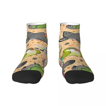 Носки для домашних птиц для мужчин и женщин, теплые модные носки для экипажа из волнистого попугайчика-попугайчика-попугайчика Изображение