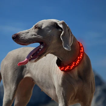 Ошейник для собак со светодиодной подсветкой Съемный Светящийся Usb Перезаряжаемый Светящийся Полиэстер для собак Ошейник Bright Labrador Товары для домашних животных Изображение